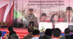 KUR Khusus Peternakan Rakyat 1