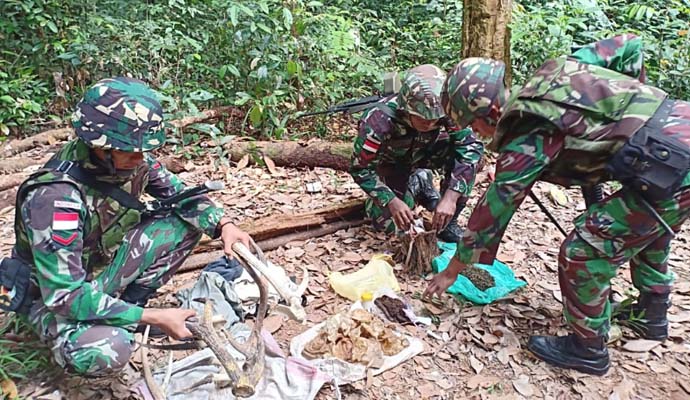 Puluhan Bungkus Ganja 1