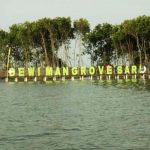 Lagu Mangrovesari 1