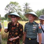 Pupuk Nutrisi Wijayakusuma 2