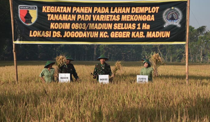 Panen Raya Madiun 1