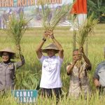 Panen Raya Padi Organik di Mulyaharja 1