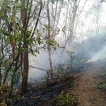 Karhutla Perhutani RPH Kutayu 1