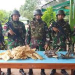 Amankan Gelembung Ikan dan Tanduk Rusa 1