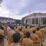 PNS