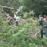 Semangat Gotong Royong TNI dan 1