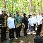 Jokowi dan Ganjar Tanam Vetiver 1