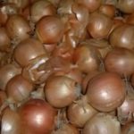 Bawang Bombay