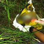 Bayi Hasil Hubungan Gelap 2