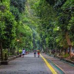 pedestrian