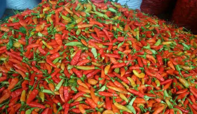 Cabe Jablay