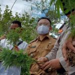 Warga Pencari Ruput Ternak 1