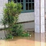 Bojong Jatibarang Brebes 1