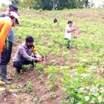Pramuka Brebes Lakukan Aksi 1