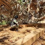 Amankan Kayu Ilegal 1