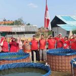 Kolam Lele 1