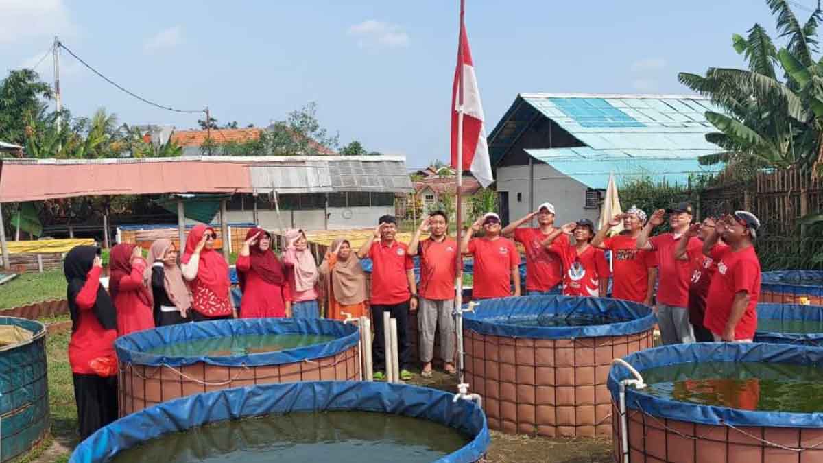Kolam Lele 1