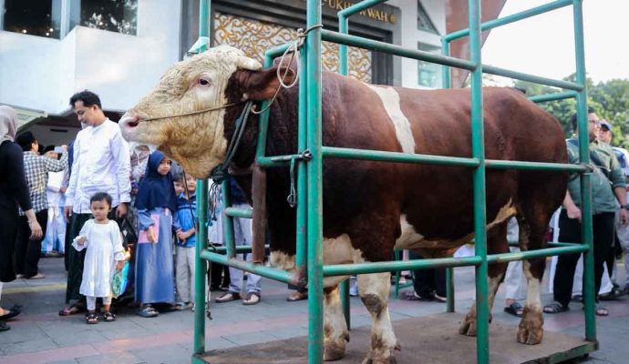 Wali Kota Bandung Serahkan Sapi 1