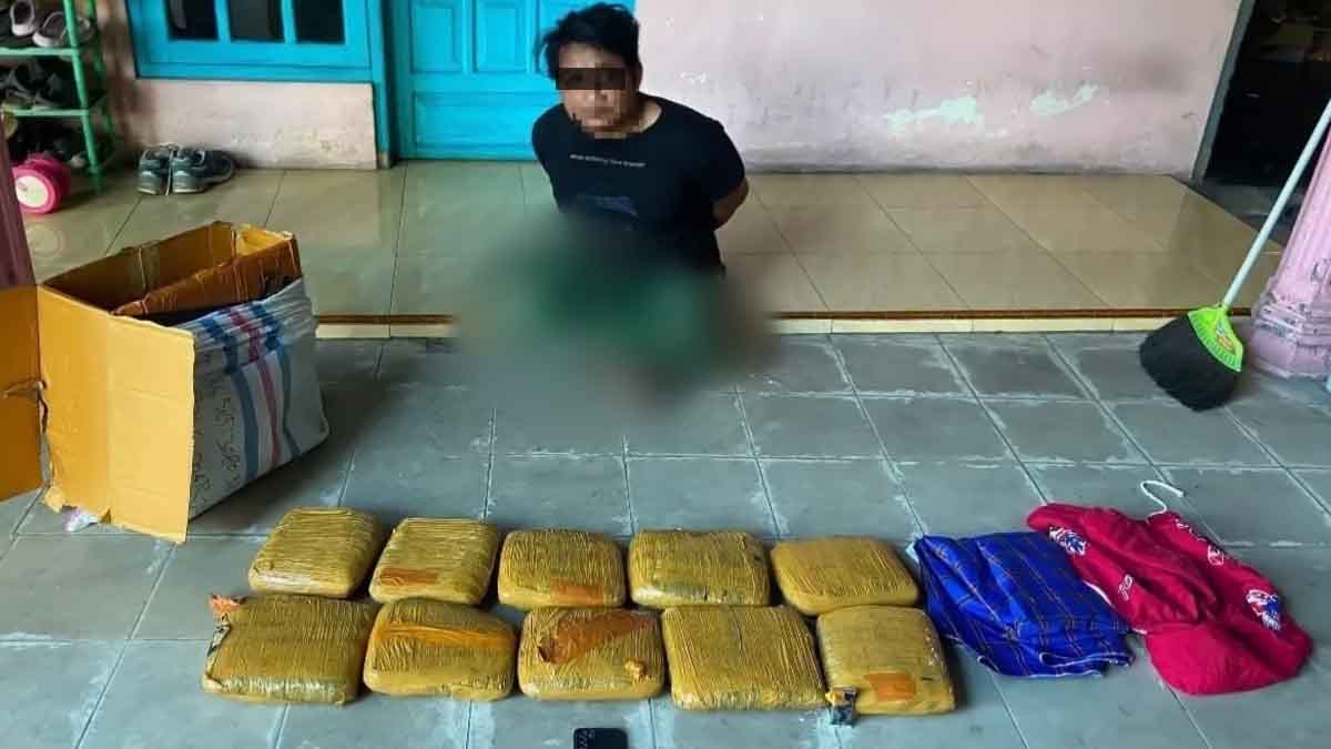10 Kilogram Ganja 1